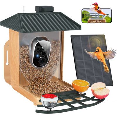 Smart Bird Feeder