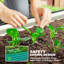 Planter-234681472-234681503