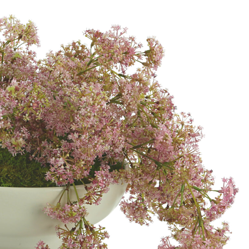 Organic Modern Weeping Laurel Arrangement