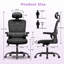 Motonobu Ergonomic Office Chair with Mesh Lumbar Support-631788498