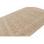 Hand Knotted Area Rug