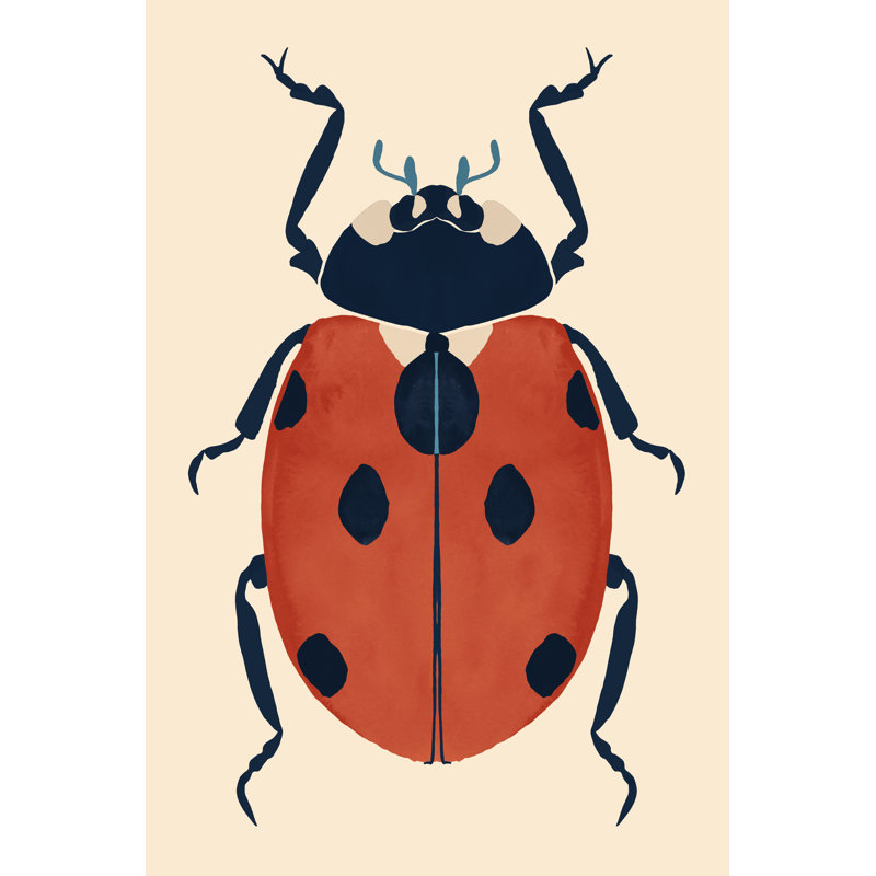 Beetle Bug V by Victoria Barnes - Wrapped Canvas Print, 91 cm H x 61 cm W