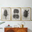 Blossfeldt Botanical IV - reproduction encadrée sur mesure de qualité supérieure - 3 pièces-1598999920-1598999926
