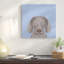 Weimar, impression sur toile tendue-74755716-74755717-74755718