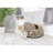 Pet Bed-6347886