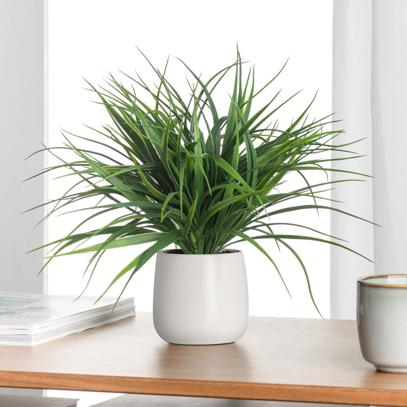 11'' Faux Foliage Grass in Ceramic Pot