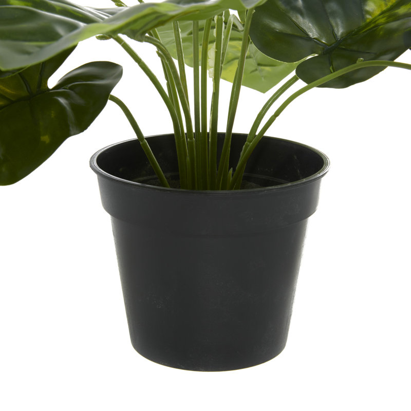 19.05'' Faux Lime Plant in Metal Pot