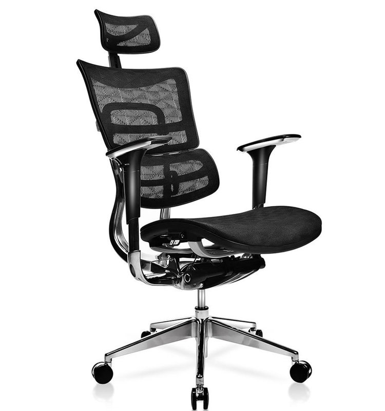 Brayden Studio® Canarsie Mesh Task Chair with Headrest