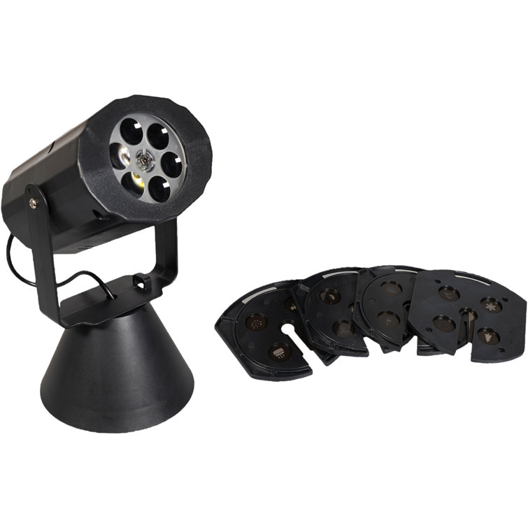 Pauli LED Lighted Window Décor