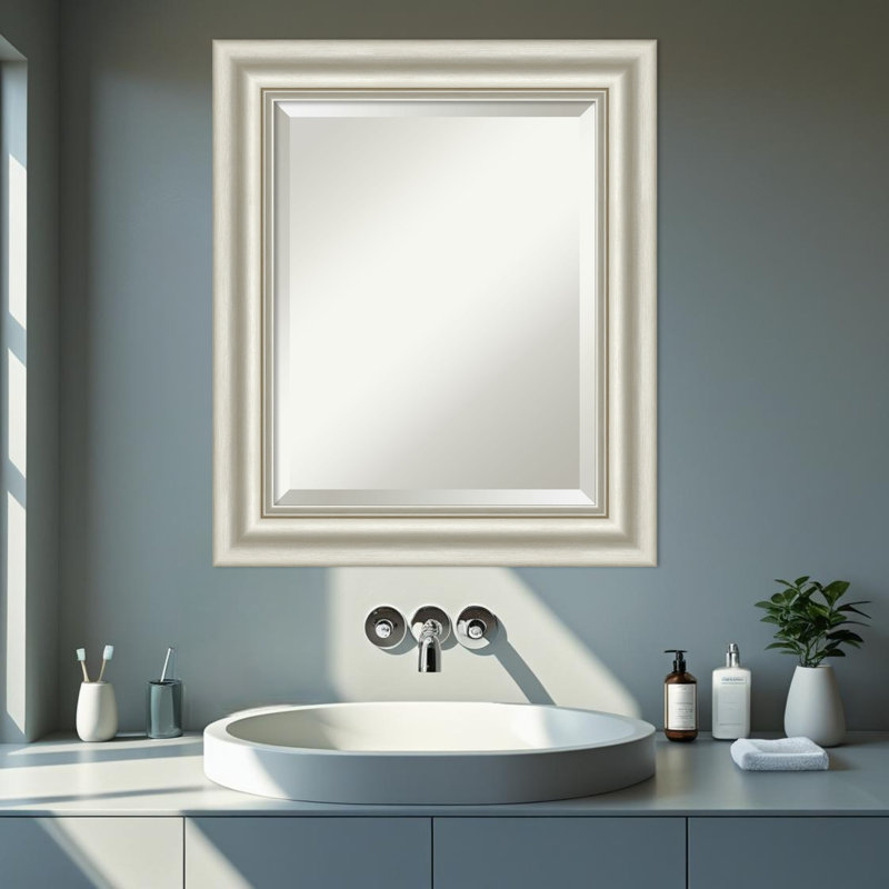 Miroir mural de salle de bain Sophia, Argent argent, 25,5 po x 21,5 po