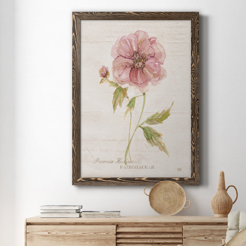 Soft Peony - peinture sur toile encadrée, H 20 po x l 17 po x P 1,5 po, Noyer