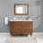 Dondi 48'' Single Bathroom Vanity with Quartz Top