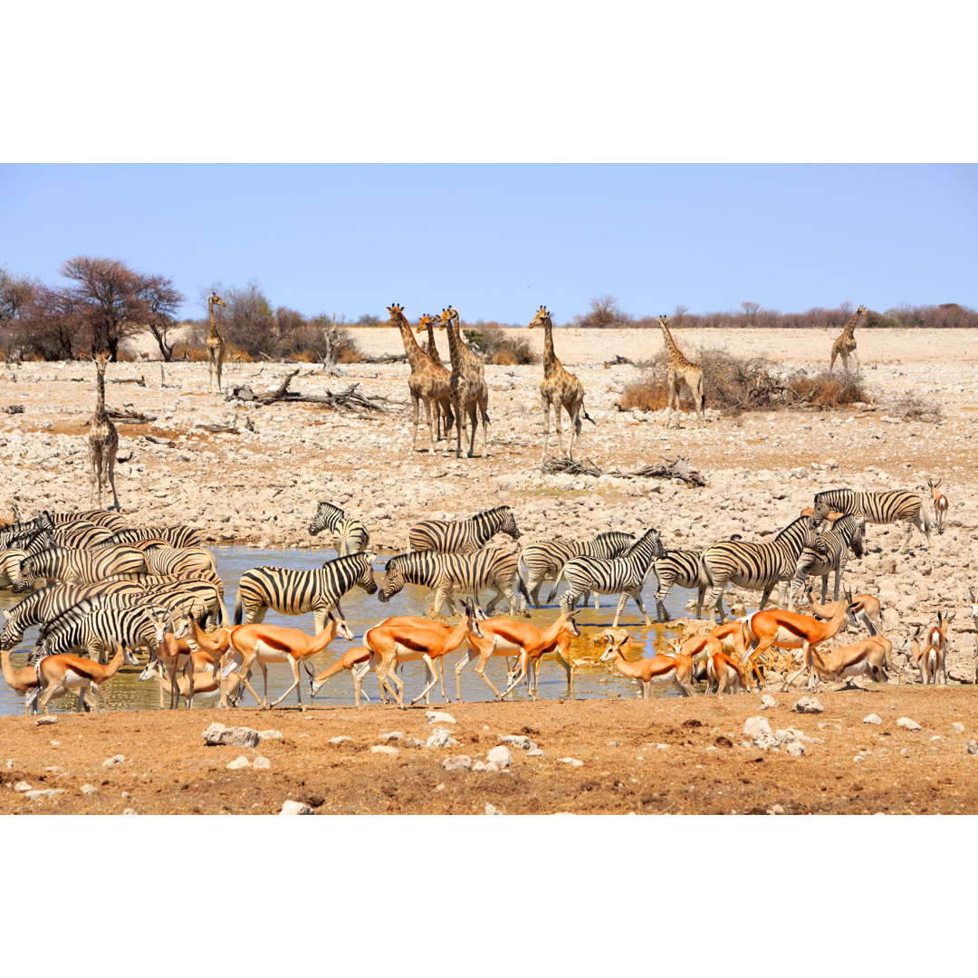 Leinwandbild Vibran Waterhole in Etosha