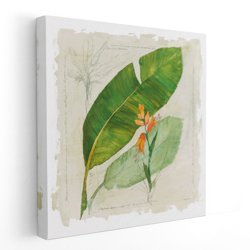 «Botanical Study I», reproduction d'art sur toile, H 12 po x l 12 po