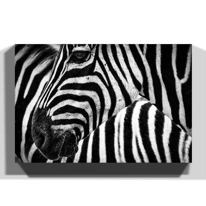 Wrapped Canvas Print, 50cm H x 76cm W