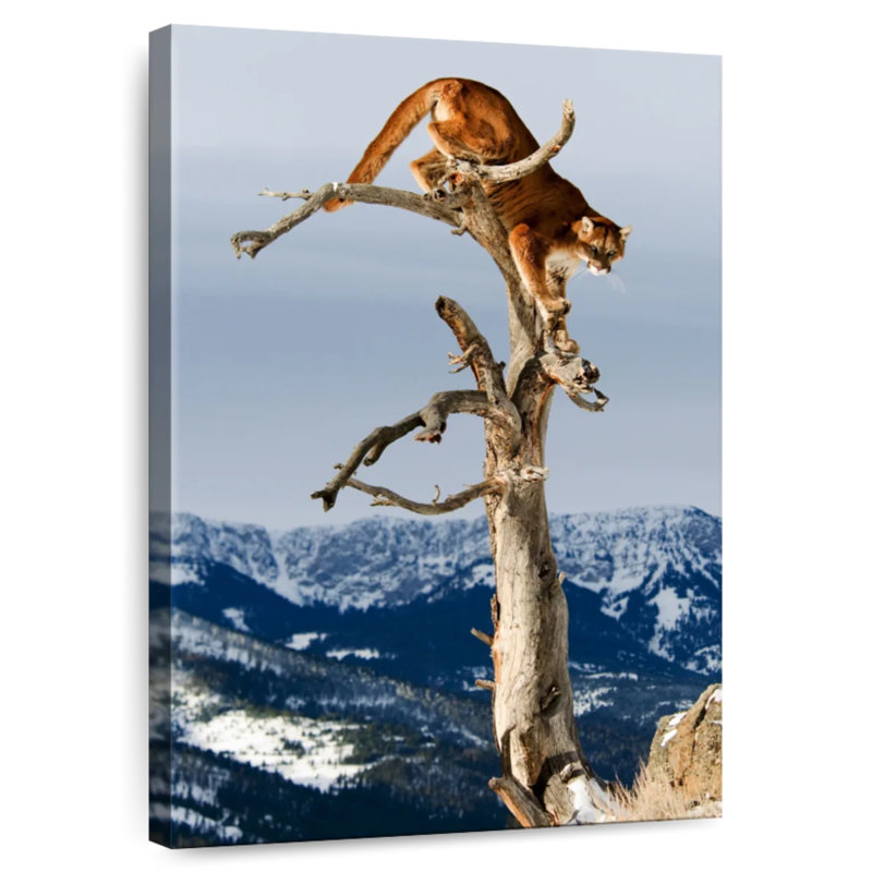 Brampt Tree Cougar, 48" H x 32" W
