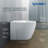 1.06 GPF (Water Efficient) Elongated One-Piece Toilet (Seat Included)