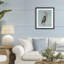 Coastal Pelican-2096644154-2096644152