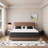 14" Hybrid Mattress-Gel Memory Foam & Pocketed Coils, Medium-Firm, Fiberglass-Free-1553060288-1544533789