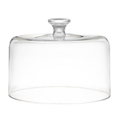 Winston Porter Craignamaddy Glass Cover