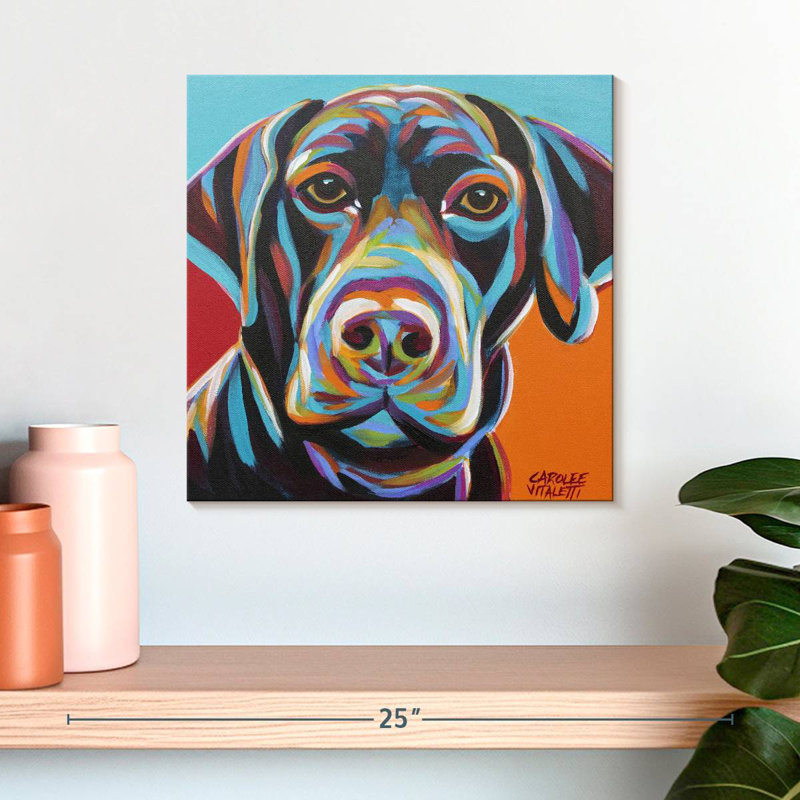 Brampt Dog Friend II, H 16 po x l 16 po