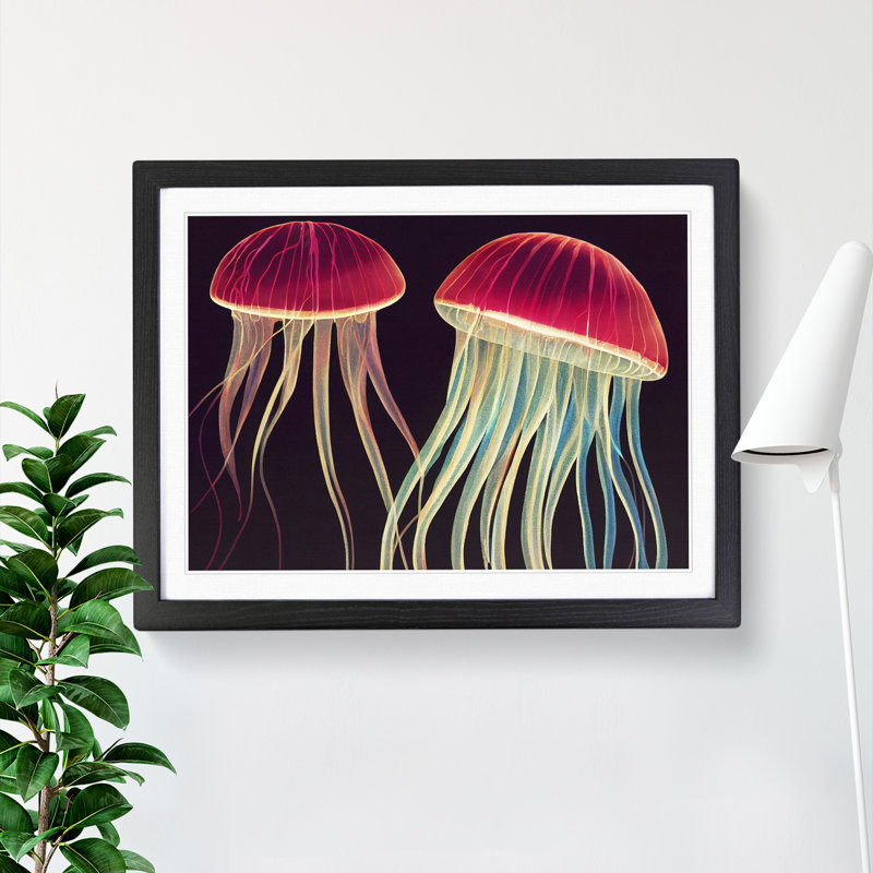 Two Jellyfish - Single Picture Frame Print, Black, 25cm H x 34cm W x 2cm D