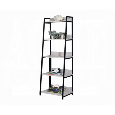 Iliana Ladder Bookcase