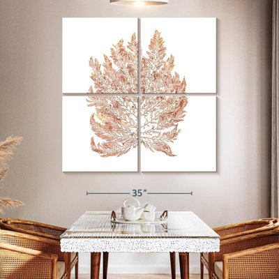 Harnek Pacific Sea Mosses I White