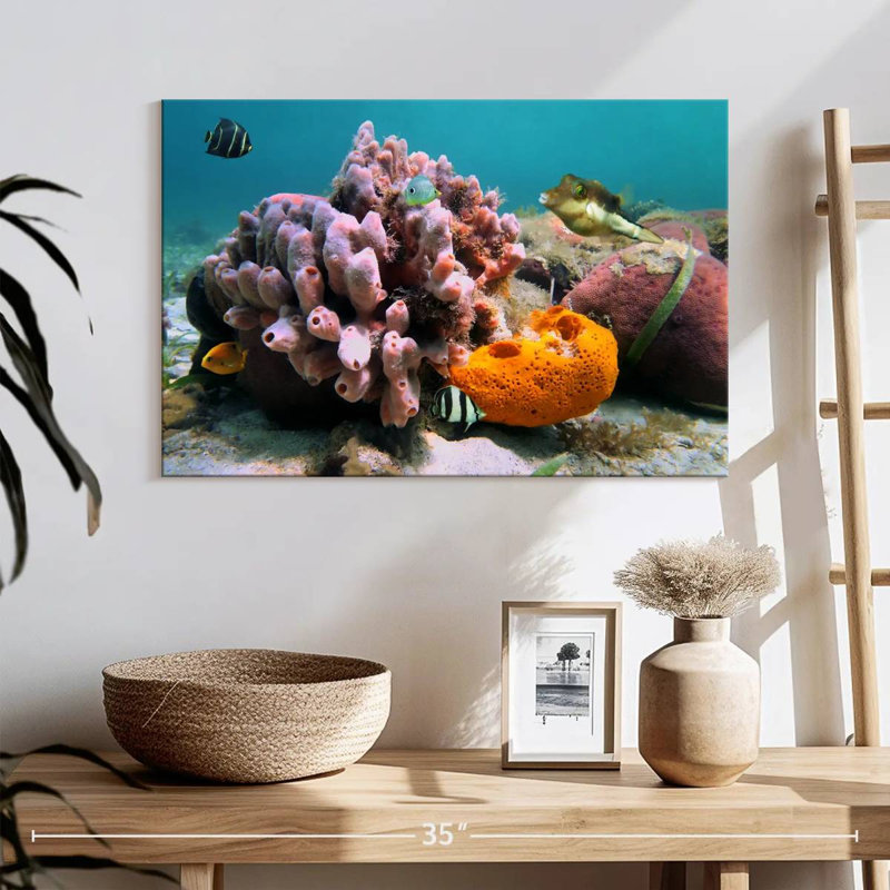Éponge de mer rose Brampt, H 16 po x l 24 po