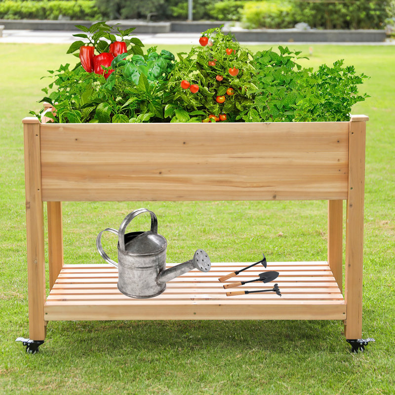Support de jardinière en bois surélevé pour jardin, jardinière avec roulettes de rangement, patio