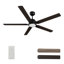 Ventilateur de plafond 60 po avec télécommande Kannan, ensemble d'éclairage inclus.-320997380-320997383