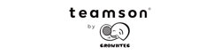 Teamson by Crowntec logo
