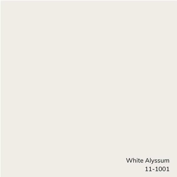 Bryann Solid Color Hand Tufted Viscose/Wool Area Rug in Cream