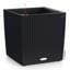 Moneak Planter Box-1392064356-1392064353