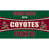 NHL Arizona Coyotes est en rupture de stock sélectionné