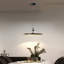 Iema 1 - Light Iron Single Round Dimmable LED Pendant