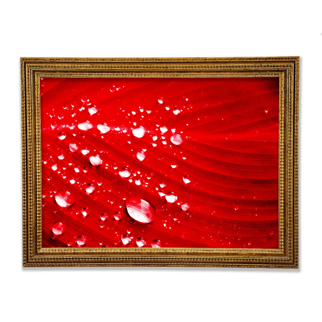 Gerahmter Kunstdruck Red Water Droplets