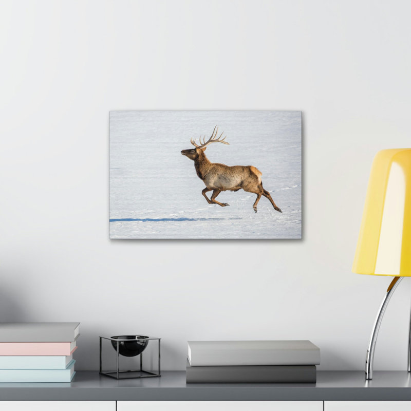 Mountain Raindeer on a Hunt on the Snow, reproduction d'art mural, H 12 po x l 18 po