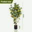121.9cm Faux Lemon Plant-199865459