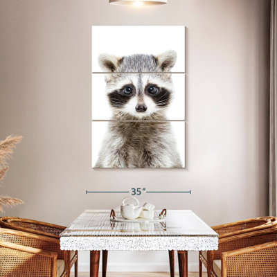 Brampt Adorable Baby Raccoon