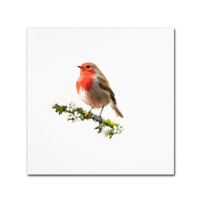 Armand 'Robin' Print on Canvas