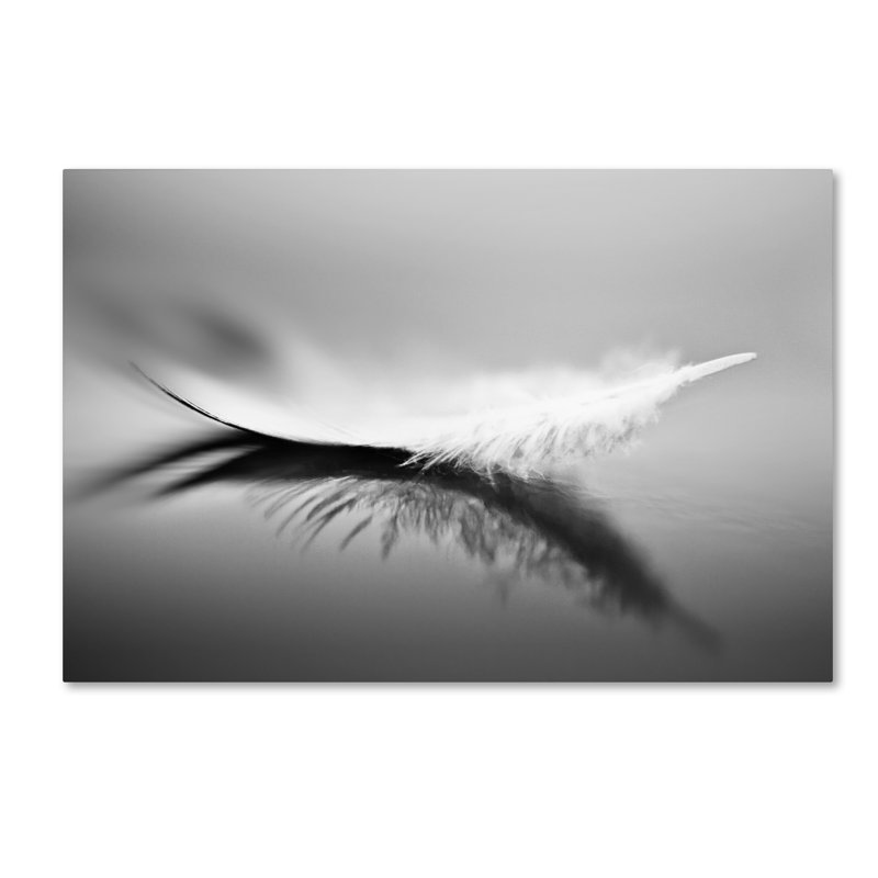 « white », reproduction d’impression sur toile tendue, 16 po x 24 po