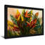 Plantes et fleurs, fleurs et feuilles tropicales-735139258-735139256-735139259