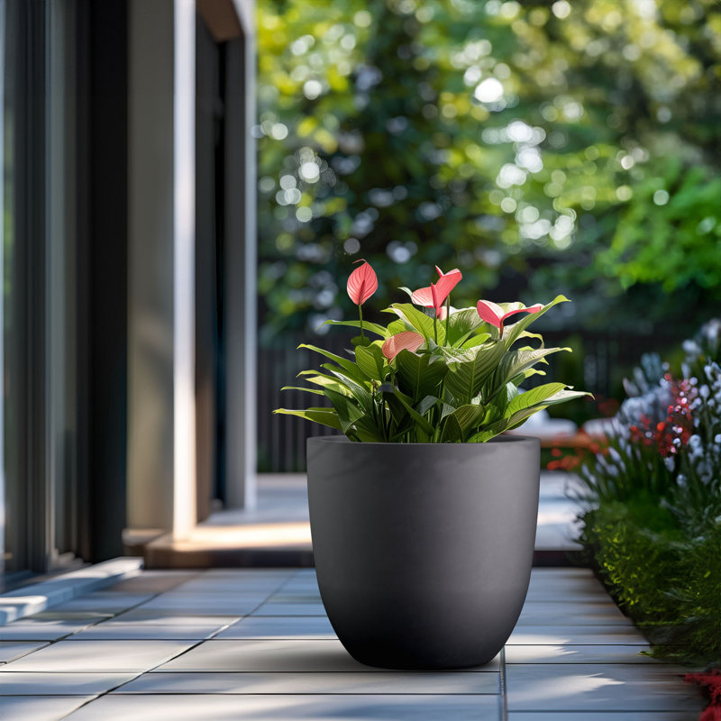 Pot à fleurs fait à la main Larney, H 16,93 po x l 17,72 po x P 17,72 po, Noir anthracite
