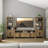 Estaban Davie Entertainment Wall Unit