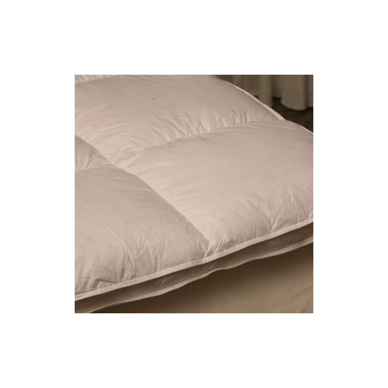 Surmatelas en plumes d'oie blanches 2 po, Grand