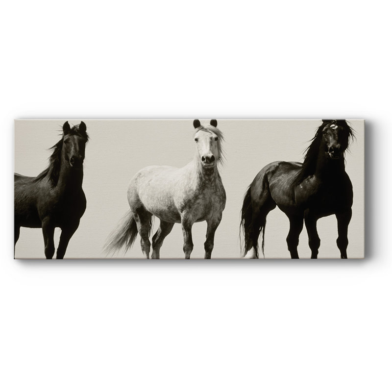 Wild Stallions sur toile, H 12 po x l 30 po x P 1,5 po