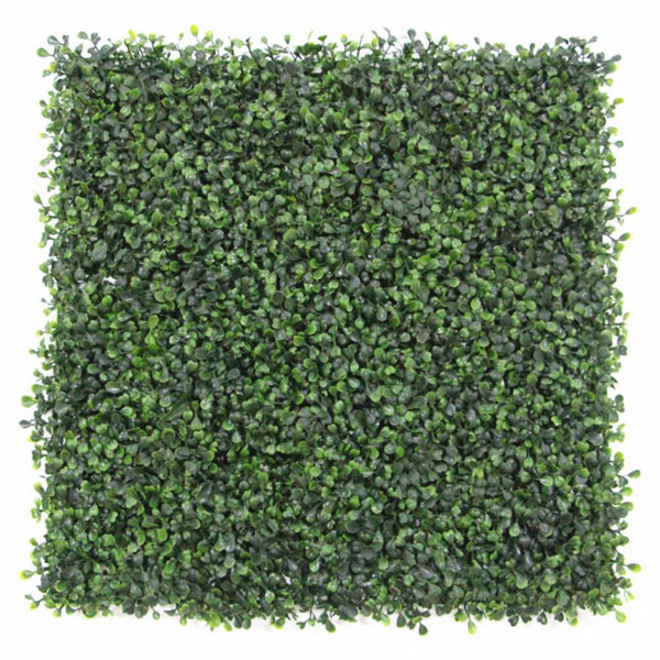 Bag of Green Sheet Moss, Preserved Primrue Size: 1 H x 1 W x 1 D