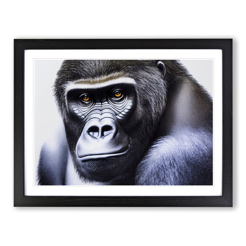 A Mysterious Gorilla - Framed Print, Black, 34cm H x 46cm W x 2cm D