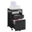 Annya 2 Drawer Filing Cabinet-109487380